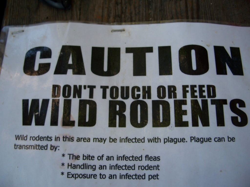 Don't feed the wildlife!