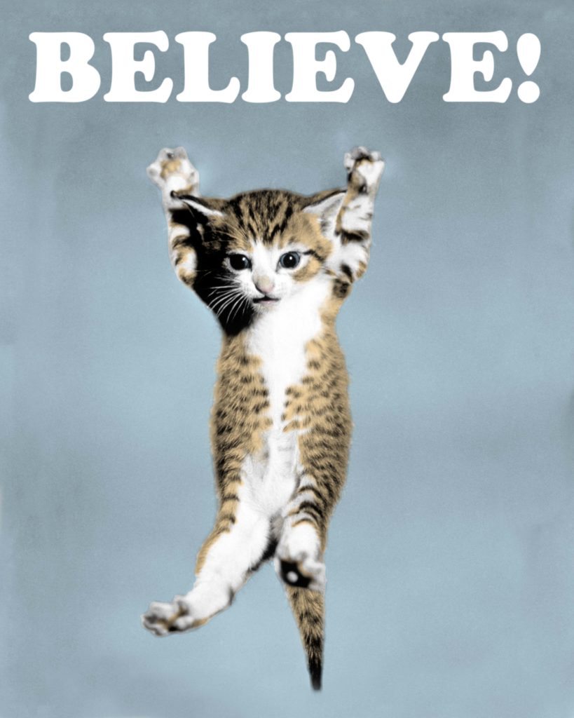 Believe Kitten Poster