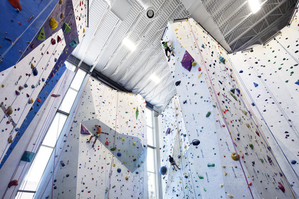 A Guide to How to Start Indoor Climbing - Gripped Magazine
