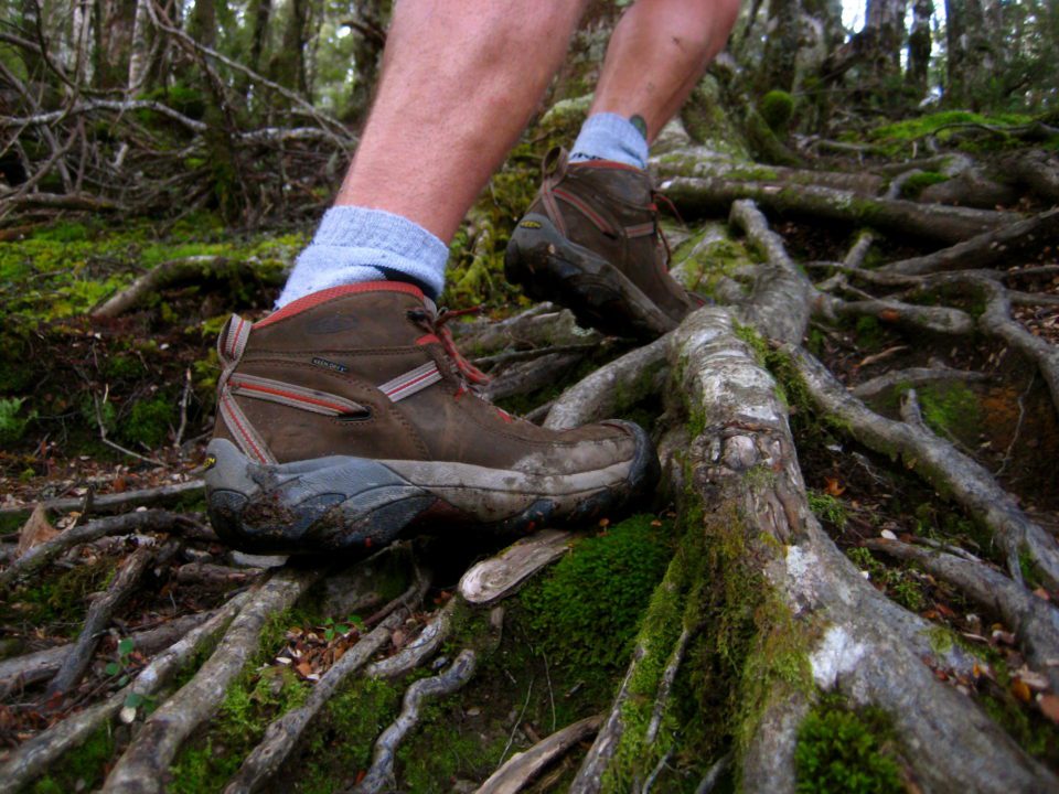 keen targhee iii mid wp hiking boots
