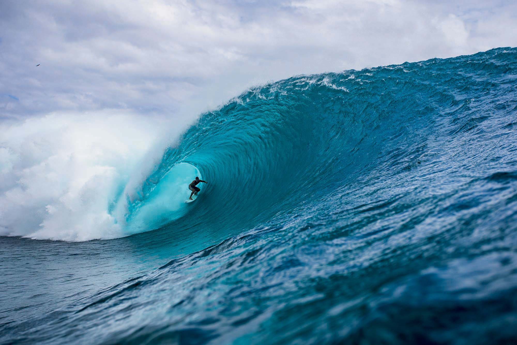 watch-koa-rothman-on-biggest-surf-swell-of-year-gripped-magazine