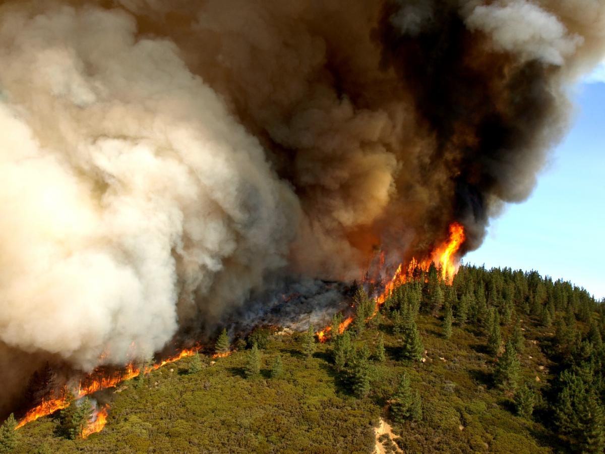 Waldbrände haben Klettergebiete lahmgelegt